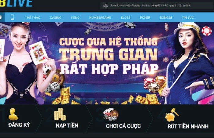 Hướng dẫn sử dụng 8Live