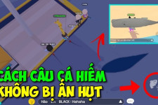 Hack Play Together câu cá hiếm, full tiền và lọc bóng 5